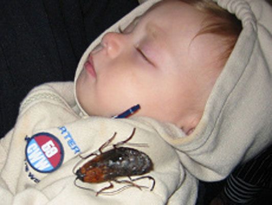 Тараканы едва не съели заживо двух малышей