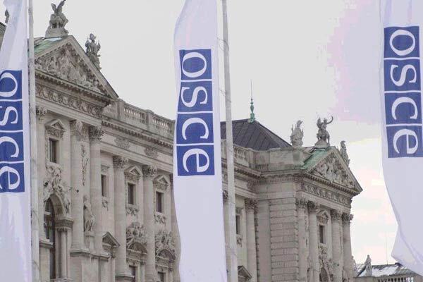 Депутаты просят ОБСЕ взять под контроль ЧФ РФ?
