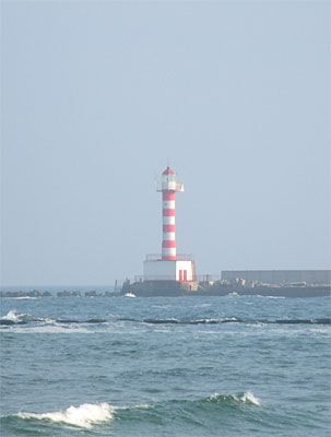 Welcome to Ukraine, Или как встречает гостей юг