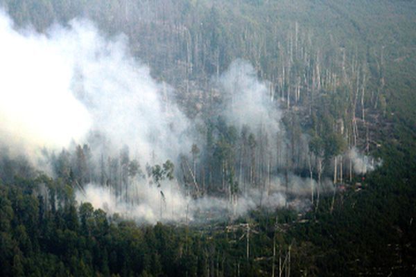 Канаду охватили лесные пожары, 17 тысяч эвакуированы