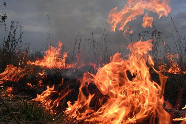 Под Симферополем горит мусор, крымчане готовят блокаду