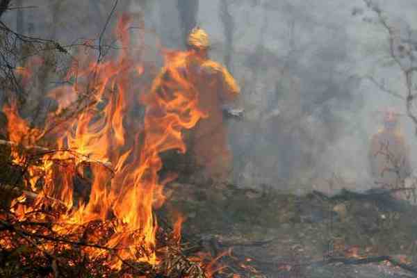 Тисячі американців евакуйовані через лісові пожежі