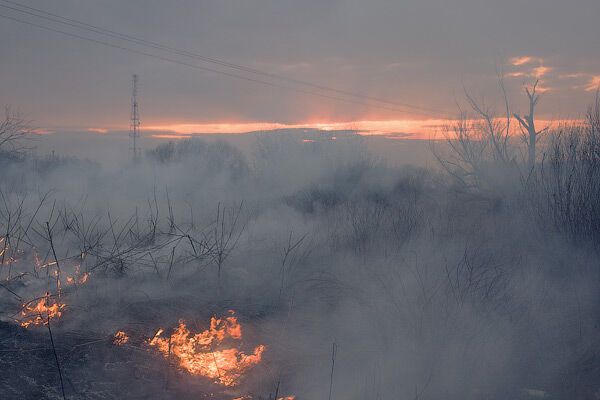 За спалювання сухого листя МНС погрожує штрафами