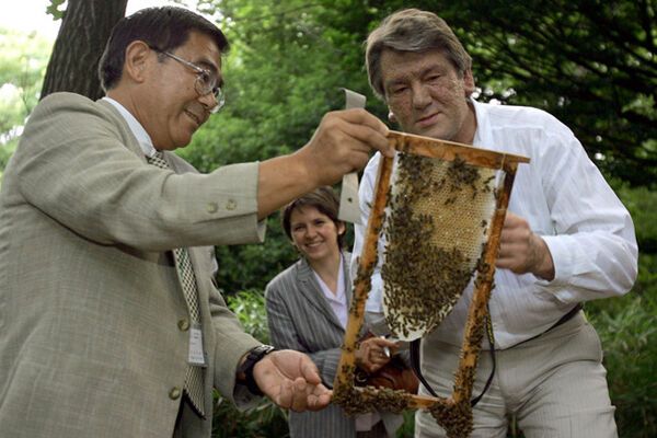 Ющенко станет лицом пчеловодства