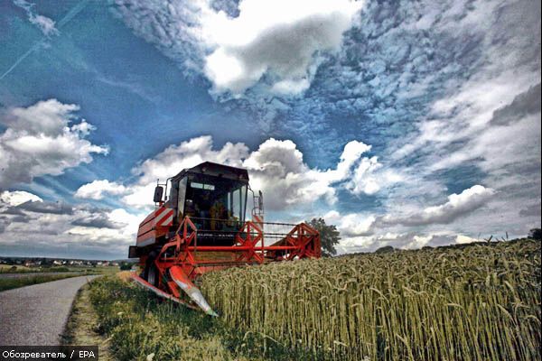 Селяни скаржаться на зернову здирщину