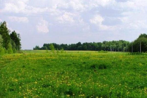 Одесские чиновники попались на незаконной продаже земли