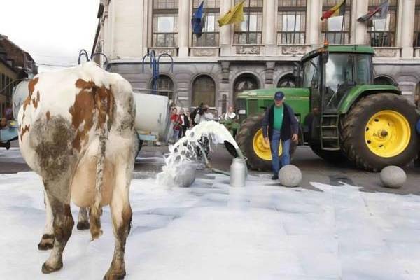 Европейские фермеры грозятся снова утопить Брюссель в молоке