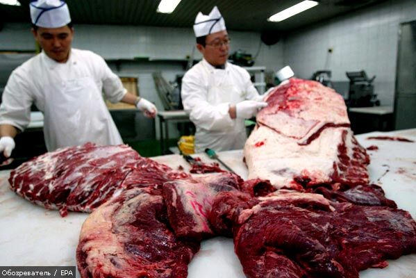 Американская говядина убила корейское правительство