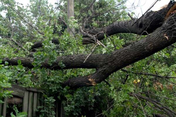 Шторм в Маріуполі рвав дроти і піднімав у повітря людей