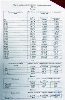 Сколько стоит дерево в Харькове? Мэрия подсчитала
