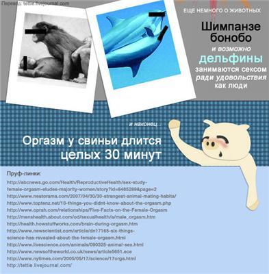 ВСЯ правда об оргазмах в ФОТО