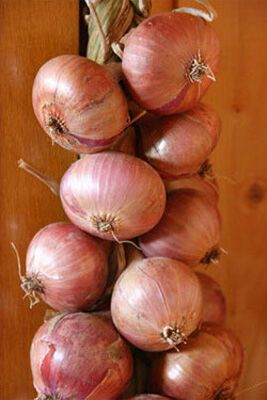 Модний осінній декор для кухні (ФОТО)