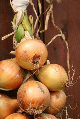 Модний осінній декор для кухні (ФОТО)