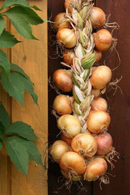 Модний осінній декор для кухні (ФОТО)