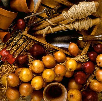 Модний осінній декор для кухні (ФОТО)