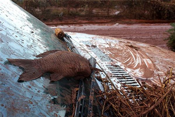 Наслідки витоку червоного шламу в Угорщині. ФОТО