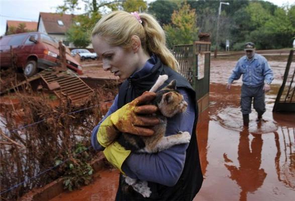 Последствия утечки красного шлама в Венгрии. ФОТО