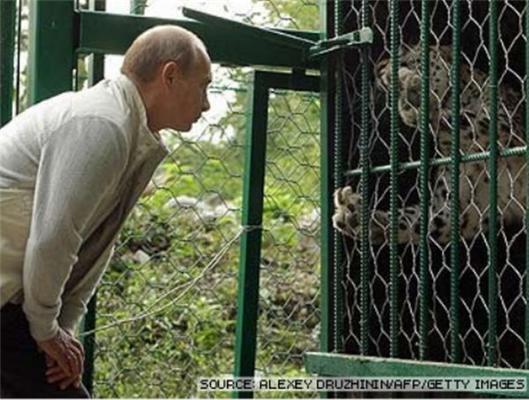 Владимир Путин с животными