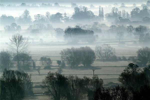 Картина дня: 16 ноября в фотографиях