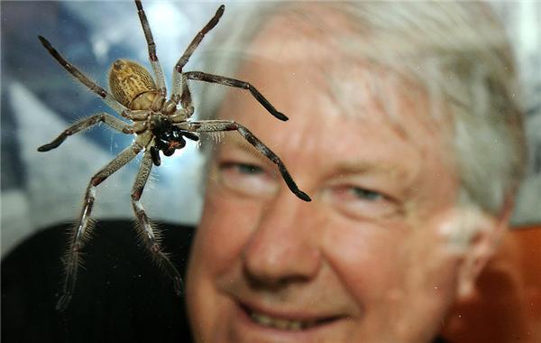 Картина дня: 16 ноября в фотографиях