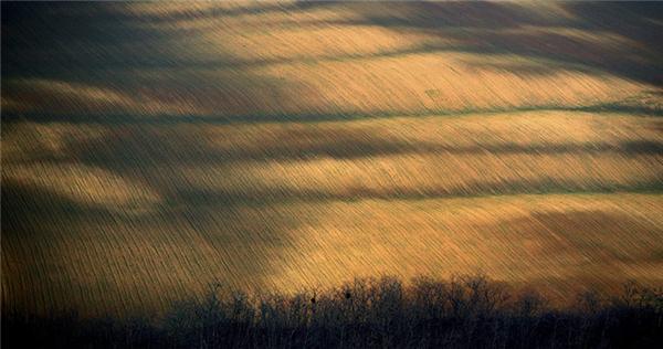 Картина дня: 17 ноября в фотографиях