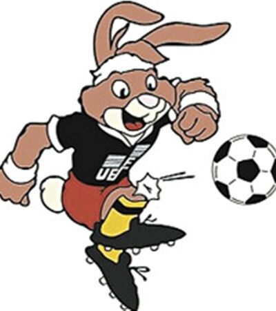 Талисманы Евро-2012. Ошибка дизайнеров или специальная задумка?