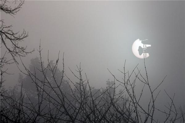 Туманное утро в Риджентс-парке