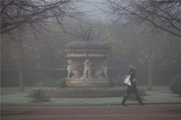 Туманное утро в Риджентс-парке