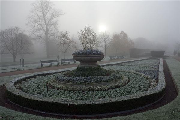 Туманное утро в Риджентс-парке