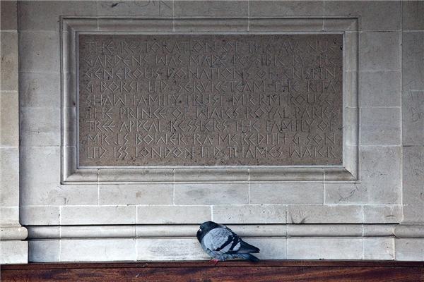 Туманное утро в Риджентс-парке