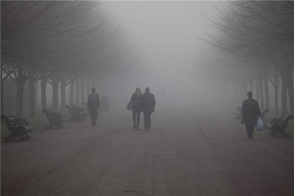 Туманное утро в Риджентс-парке