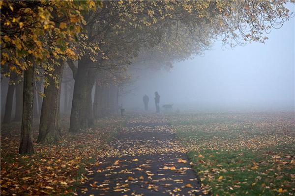 Туманное утро в Риджентс-парке