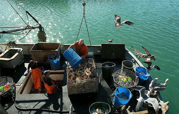 Картина дня: 18 ноября в фотографиях