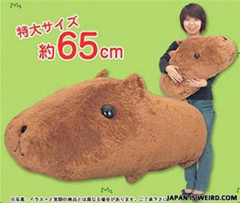 Такое возможно только в Японии