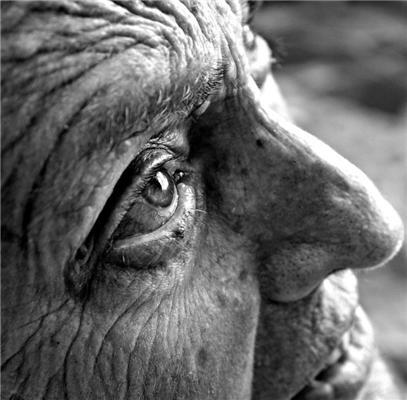 Фотоконкурс National Geographic 2010