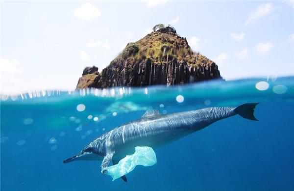 Фотоконкурс National Geographic 2010