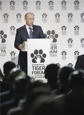 Путин и Леонардо Ди Каприо на Тигрином форуме