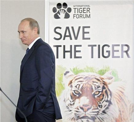 Путин и Леонардо Ди Каприо на Тигрином форуме
