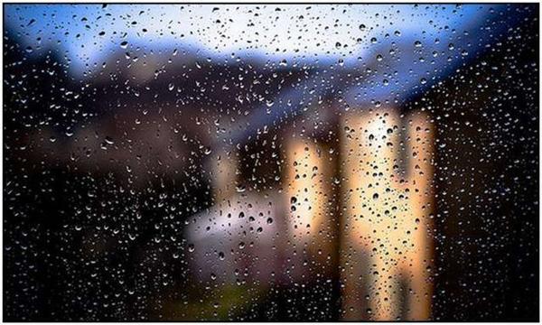 Пишність дощу (35 фото)