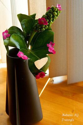 Искусство икебаны согревает дом. ФОТО