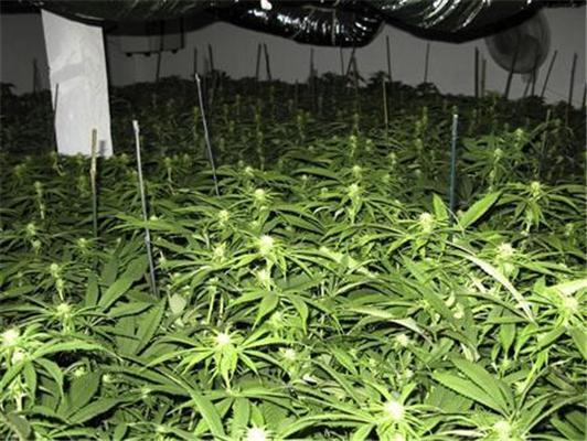 Картина дня: 4 ноября в фотографиях