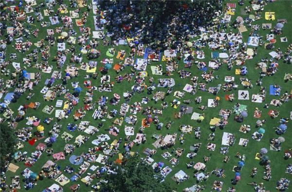 Потрясающие фото сделанные с высоты птичьего полета