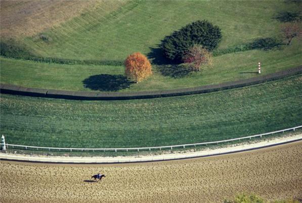 Потрясающие фото сделанные с высоты птичьего полета