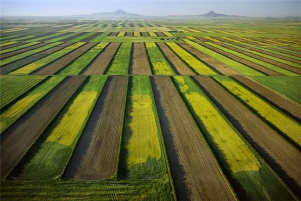 Потрясающие фото сделанные с высоты птичьего полета