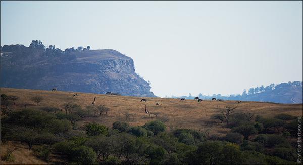Обзор Сафари-Парка в ЮАР