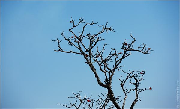 Обзор Сафари-Парка в ЮАР