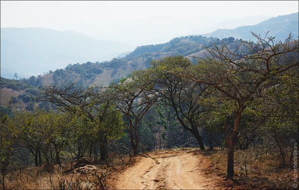 Обзор Сафари-Парка в ЮАР
