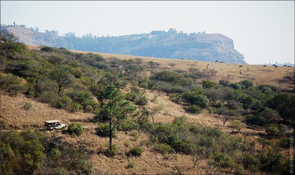 Обзор Сафари-Парка в ЮАР