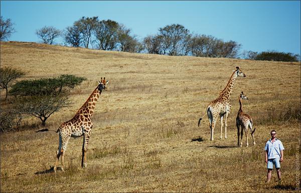 Обзор Сафари-Парка в ЮАР