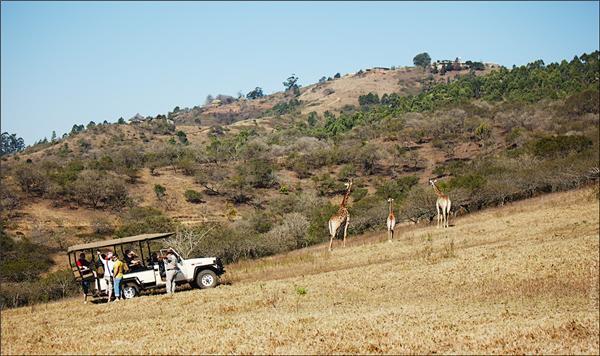 Обзор Сафари-Парка в ЮАР